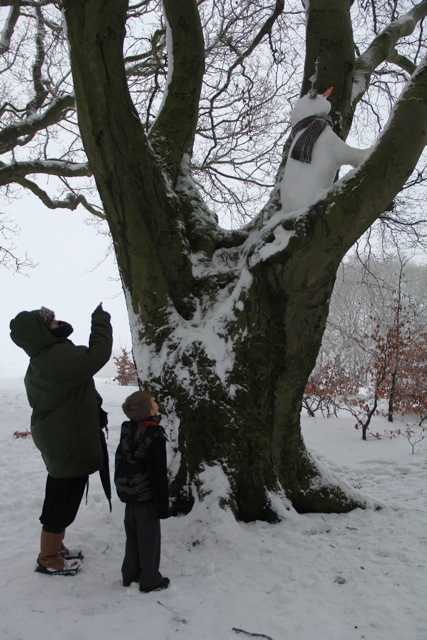 Percival the Snowman climbing a tree