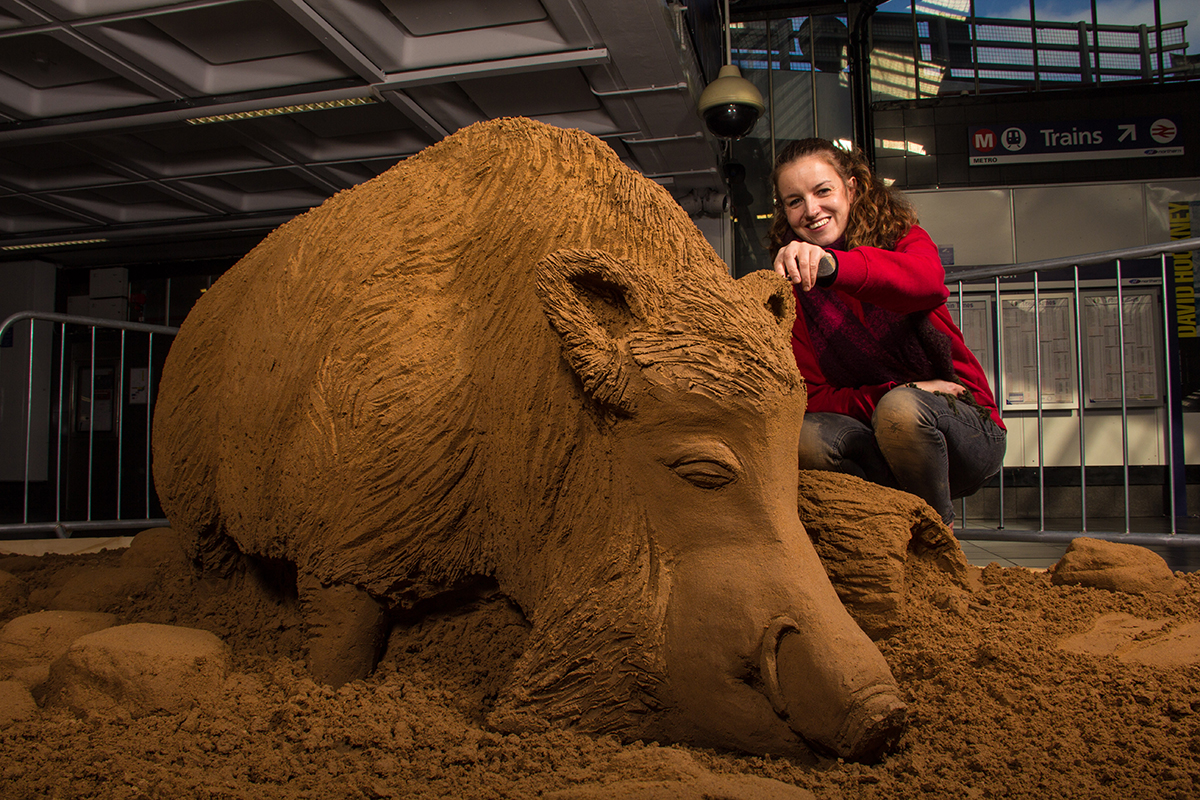 Claire Jamieson sculpting a sand sculpture of Yorkshire's Bradford Boar
