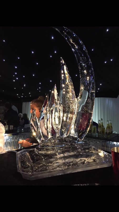 party ice sculpture