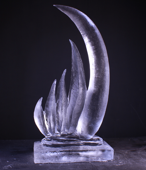 abstract ice sculpture
