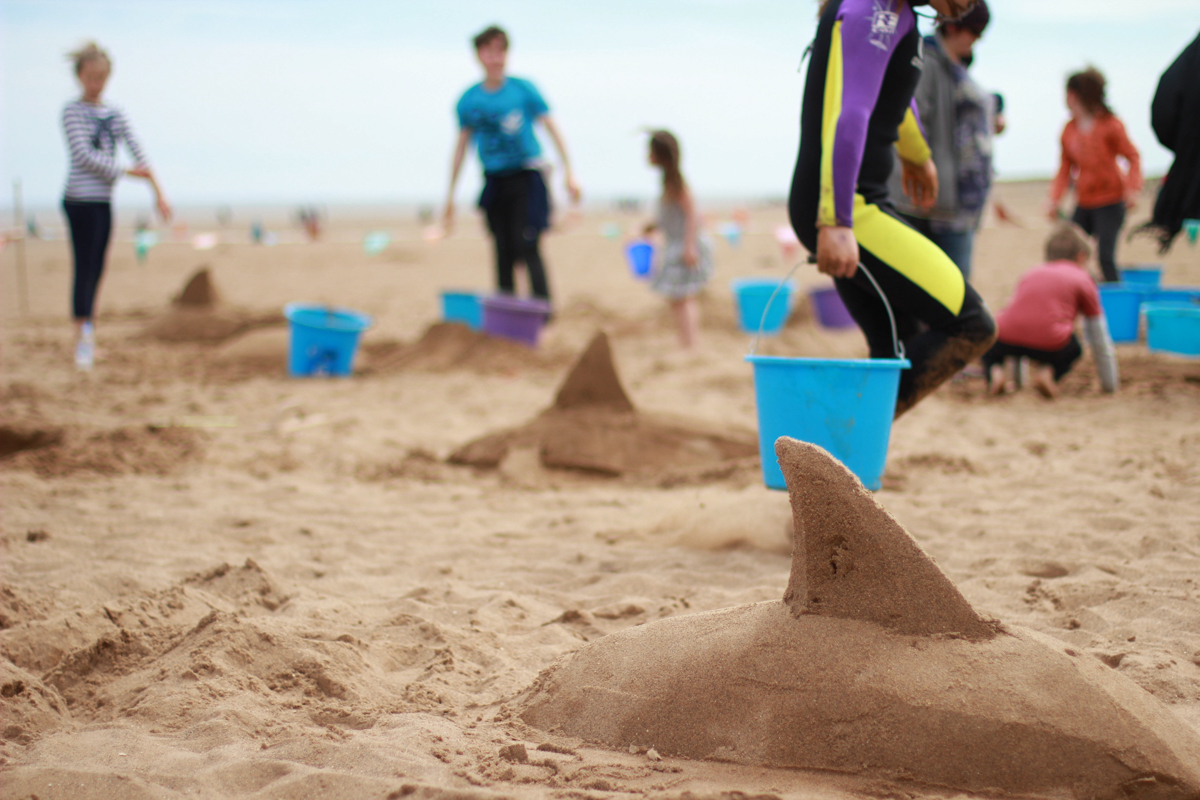 dolphins on the beach, sand sculpture workshops in Skegness