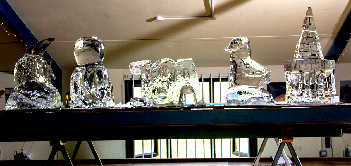 ice sculpture workshops half day courses
