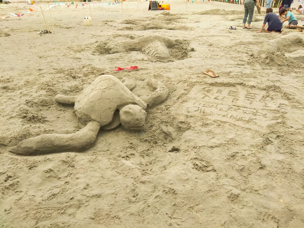 beach sand sculpture workshops