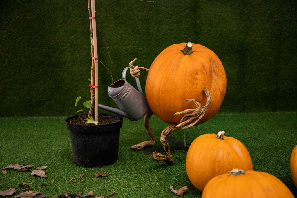 pumpkin_carving_halloween