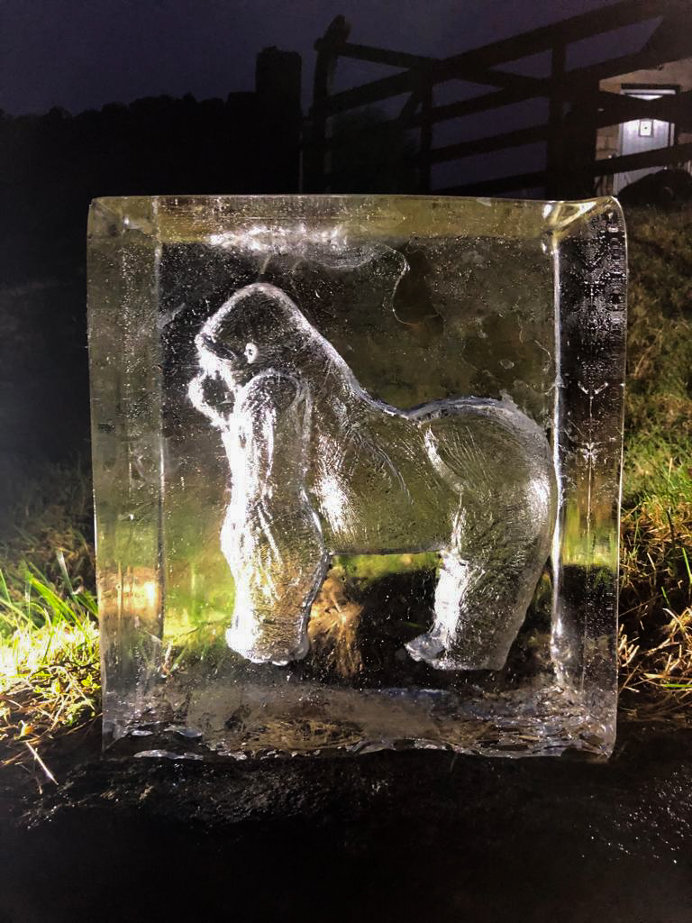 ice_sculpture_trail_manchester